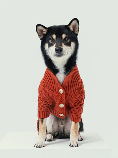 Bert Cardigan Pet Sweater