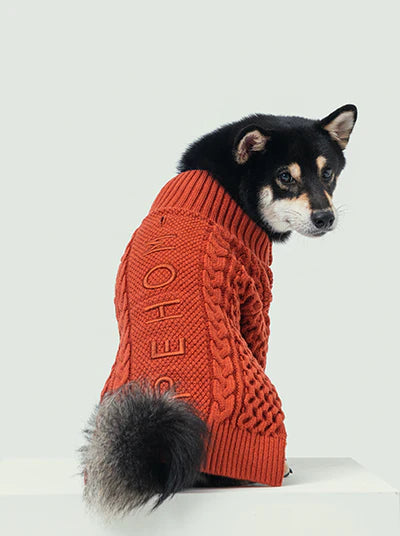 Bert Cardigan Pet Sweater