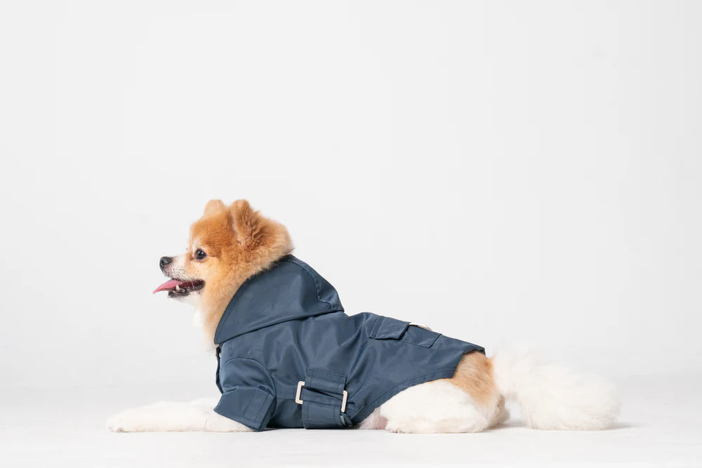 Bowery Raincoat - Blue