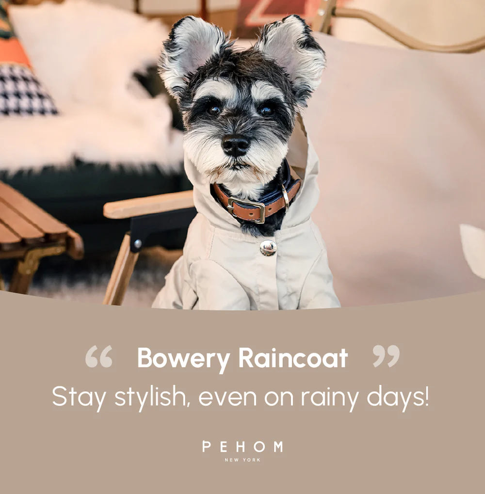 Bowery Raincoat - Beige