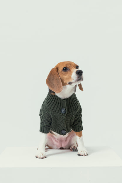 Bert Cardigan Pet Sweater