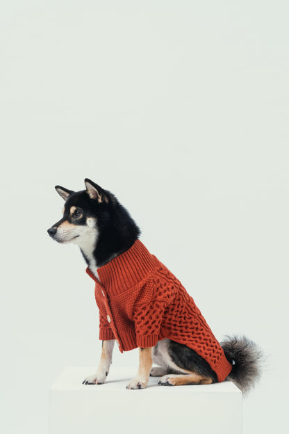 Bert Cardigan Pet Sweater