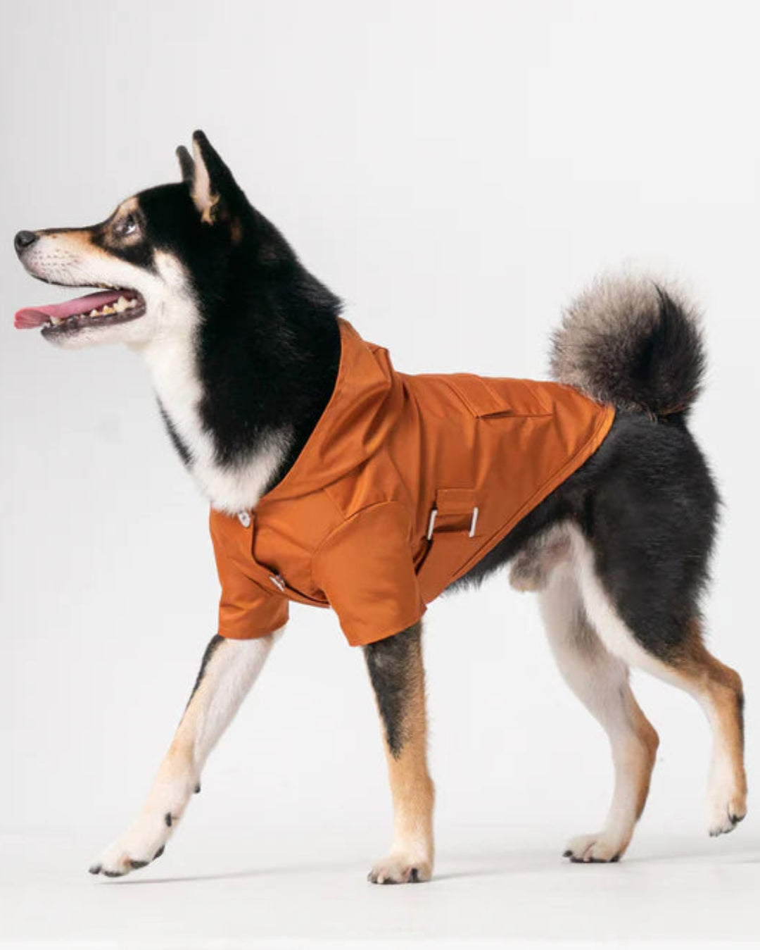 Dog wearing an orange raincoat on a white background