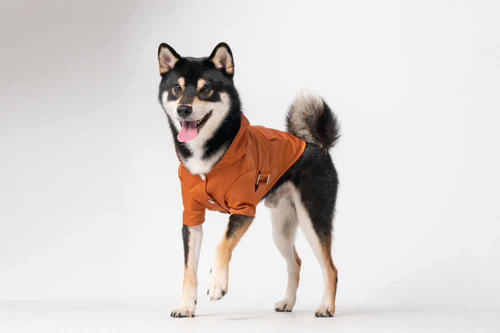 Bowery Raincoat - Orange