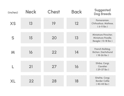 Bowery Raincoat - Blue