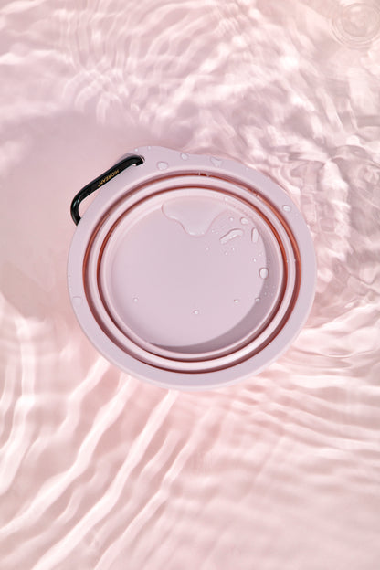Silicone Collapsible Travel Bowl for Pets
