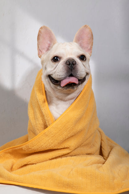 Ultra-Soft Quick-Dry Pet Towel