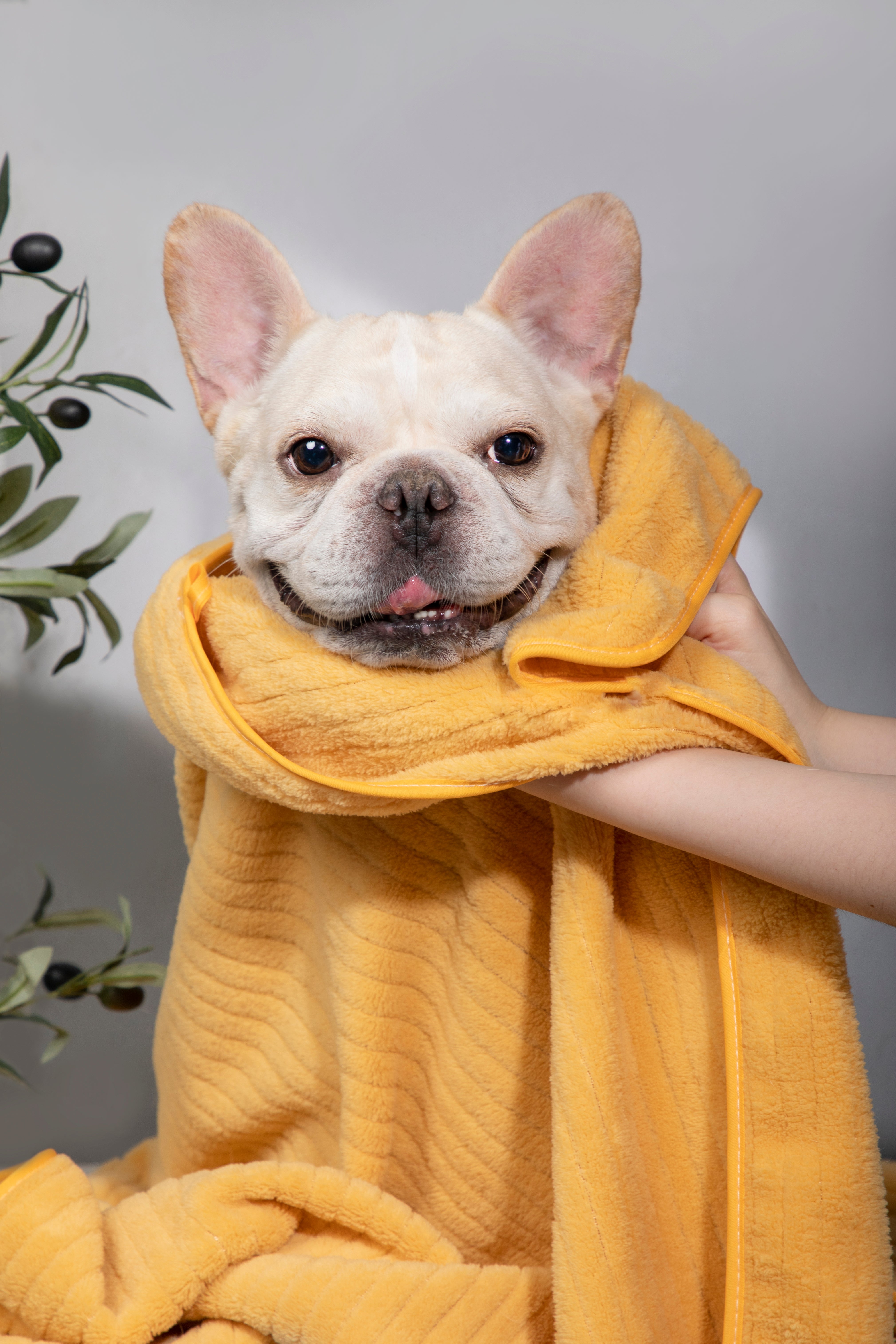 Ultra-Soft Quick-Dry Pet Towel