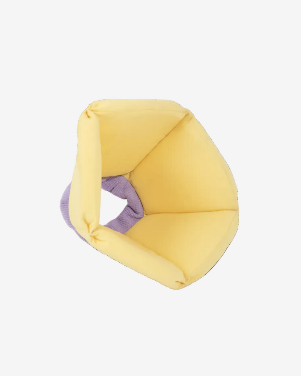 Soft Sponge Pet Recovery Cone | Flexible & Waterproof | Custard Yellow ...