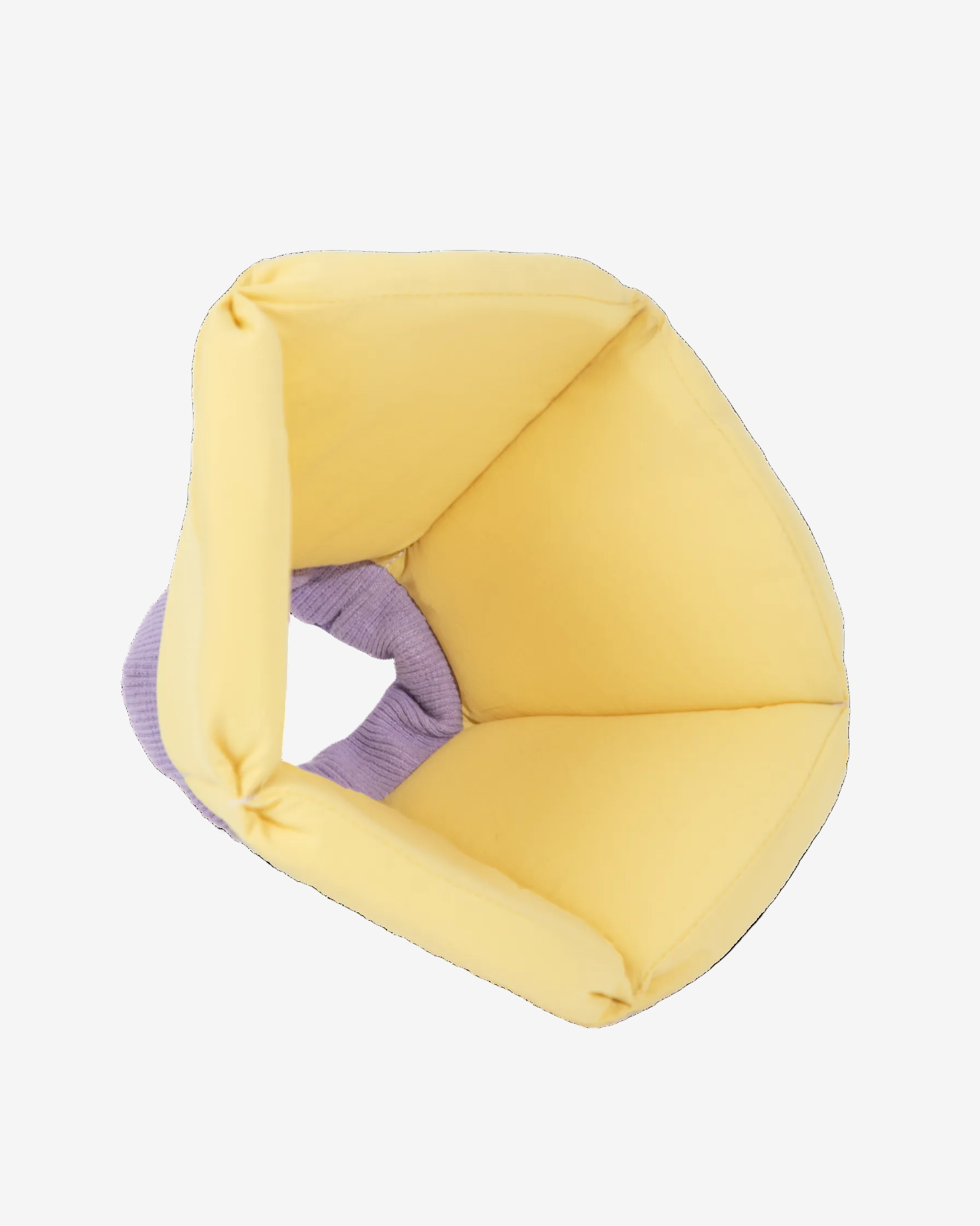 Sponge Cone Recovery Pet Collar