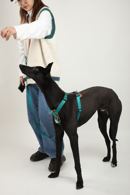 H-Style Dog Harness Vest