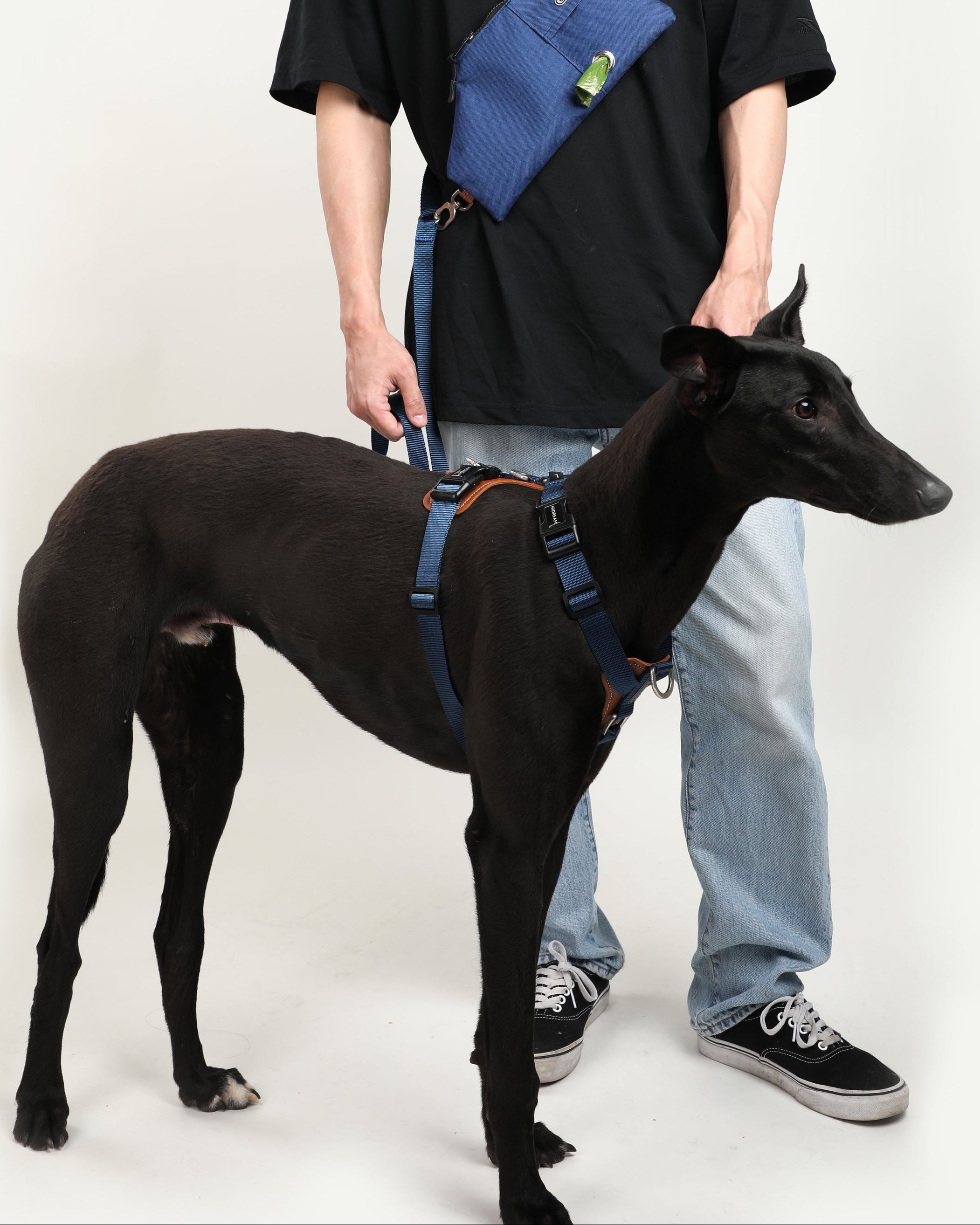 H-Style Dog Harness Vest - Oriental Blue