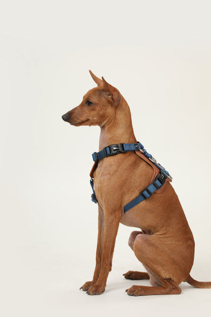 H-Style Dog Harness Vest