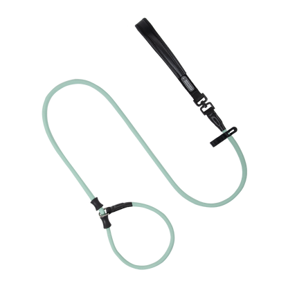 Leather Handle Training Dog Leash