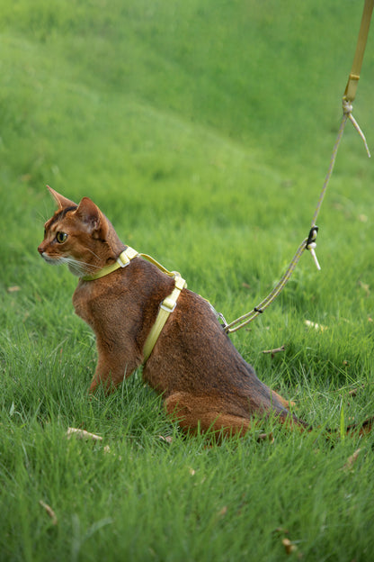 Freedom Exploration Cat Harness and Leash Set