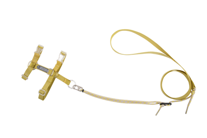 Freedom Exploration Cat Harness and Leash Set