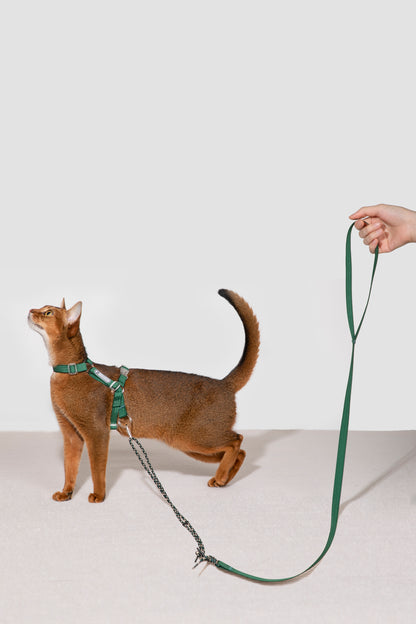 Freedom Exploration Cat Harness and Leash Set