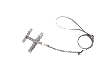 Freedom Exploration Cat Harness and Leash Set