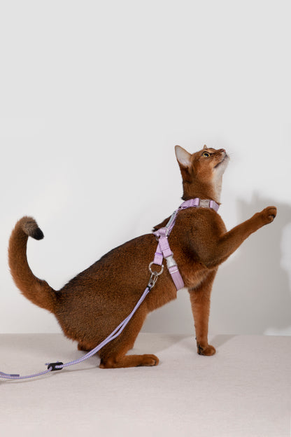Freedom Exploration Cat Harness and Leash Set