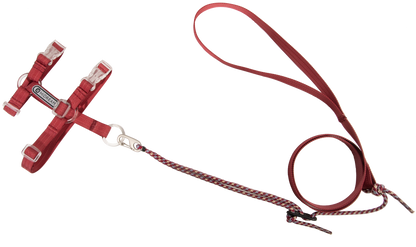 Freedom Exploration Cat Harness and Leash Set
