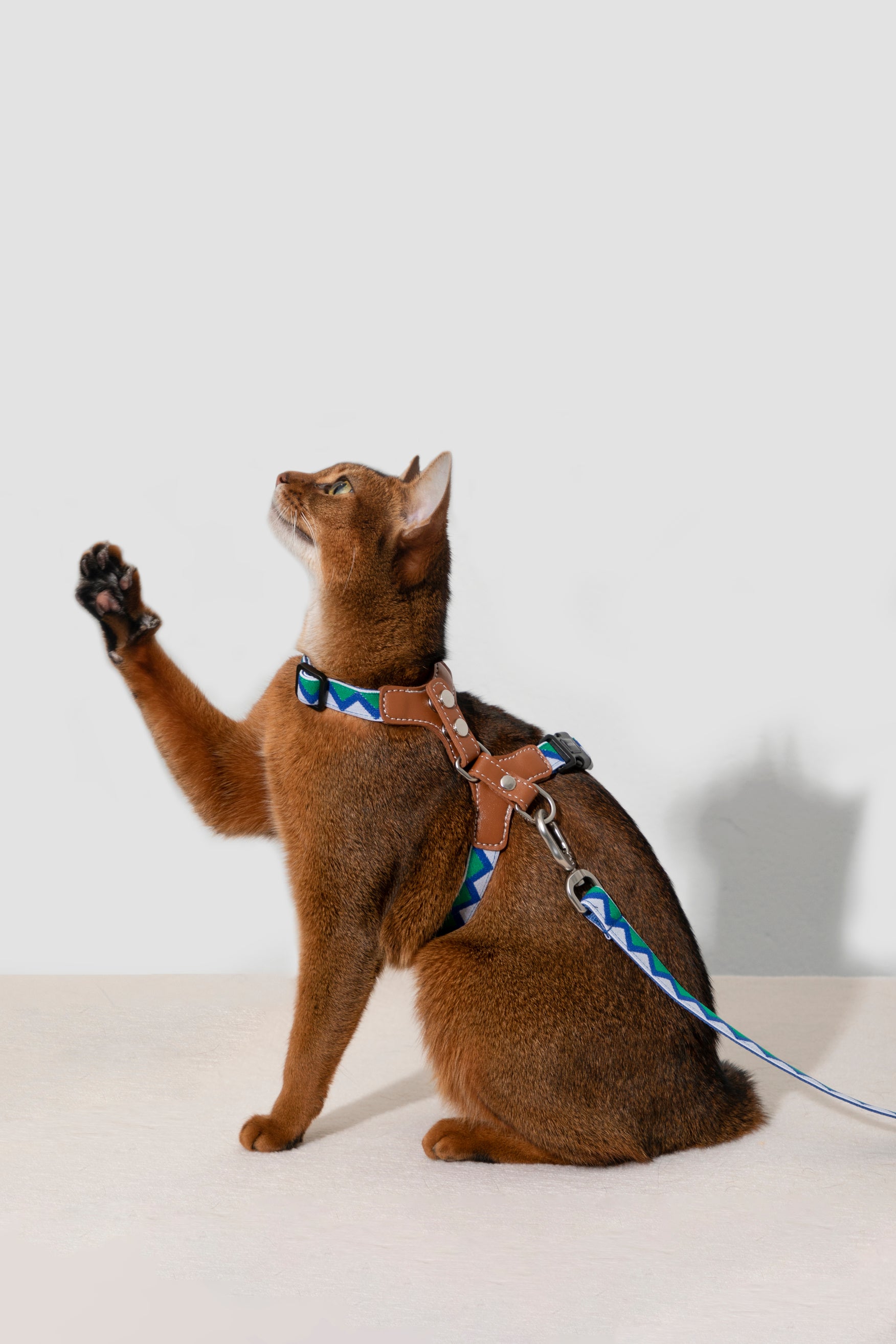 Back Adjustable Leather Cat Harness and Leash Set