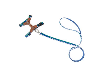 Back Adjustable Leather Cat Harness and Leash Set