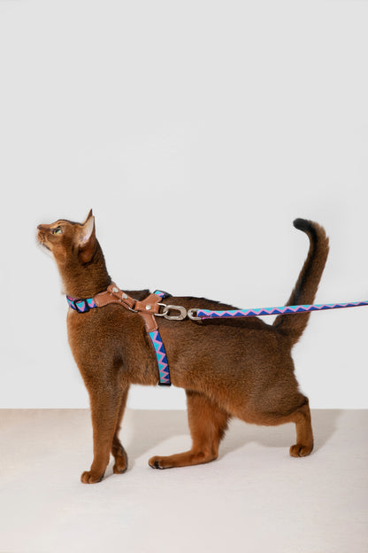 Back Adjustable Leather Cat Harness and Leash Set