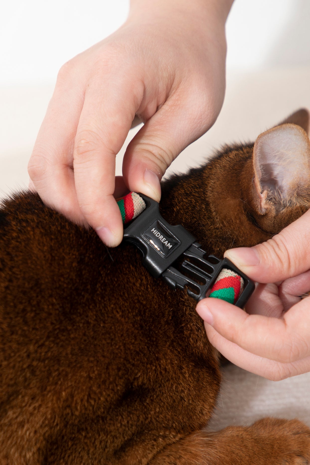 Back Adjustable Leather Cat Harness and Leash Set