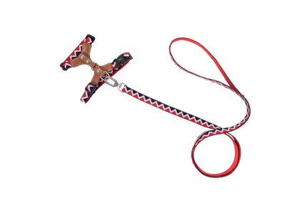 Back Adjustable Leather Cat Harness and Leash Set