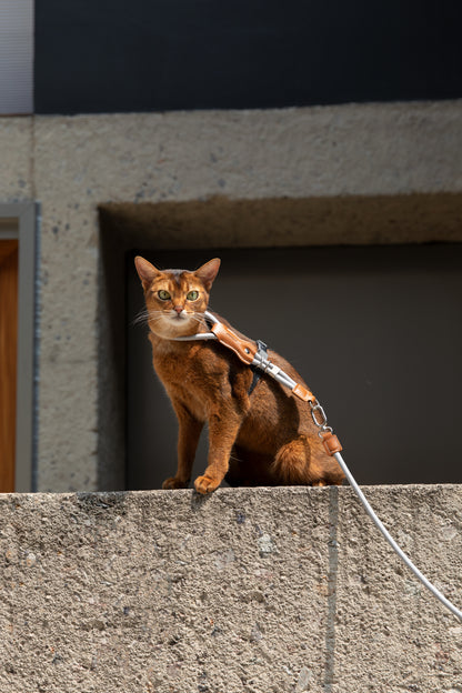 Leather Round Rope Cat Harness Set