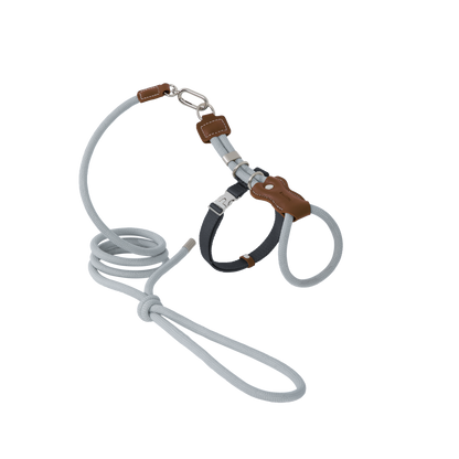 Leather Round Rope Cat Harness Set