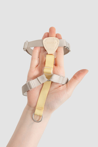 Two-Tone Leather Cat Harness & Leash Set
