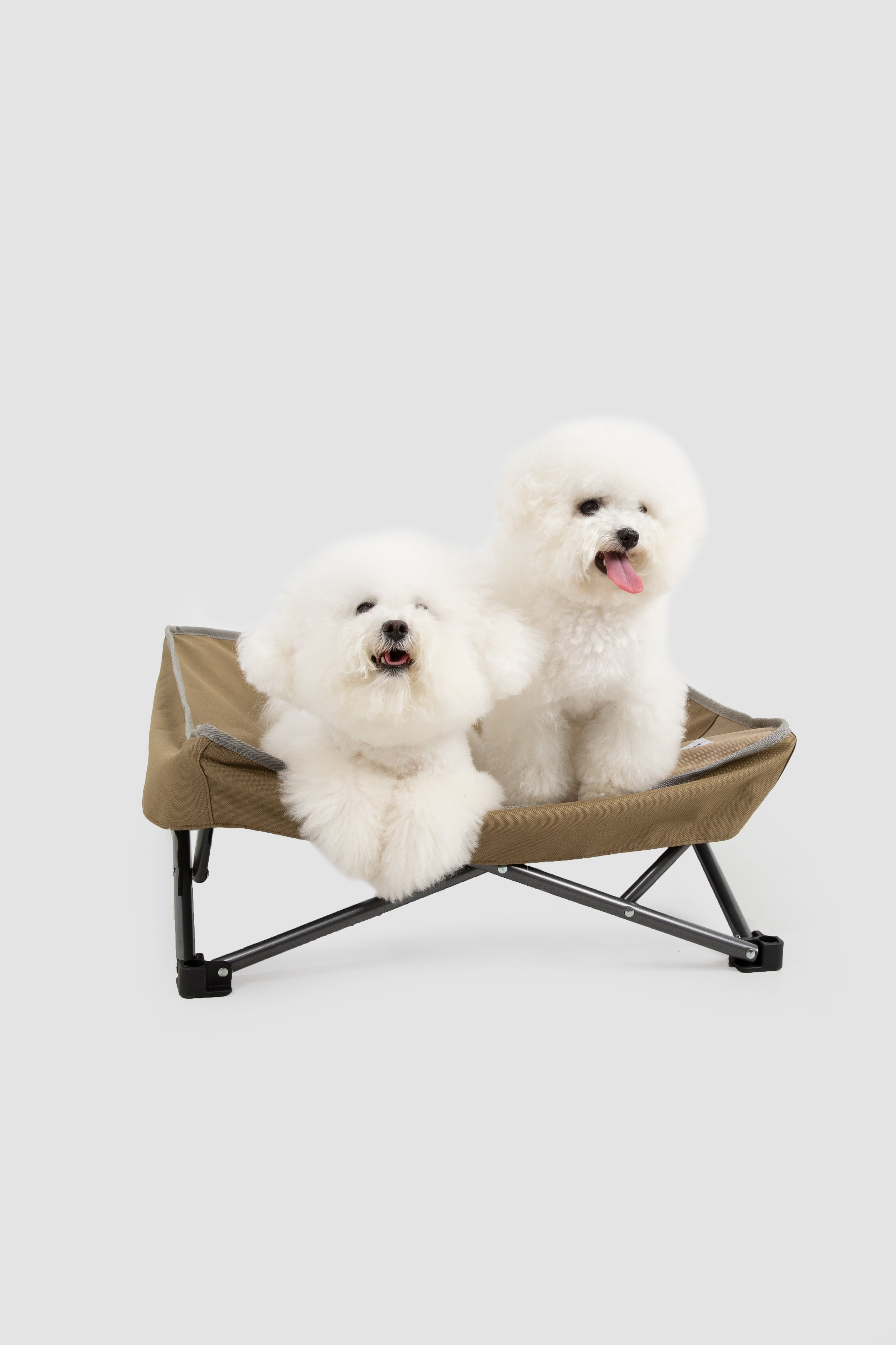 Moisture-Resistant Foldable Pet Bed