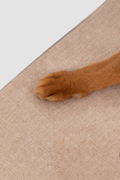 Foldable Cat Tunnel Bed