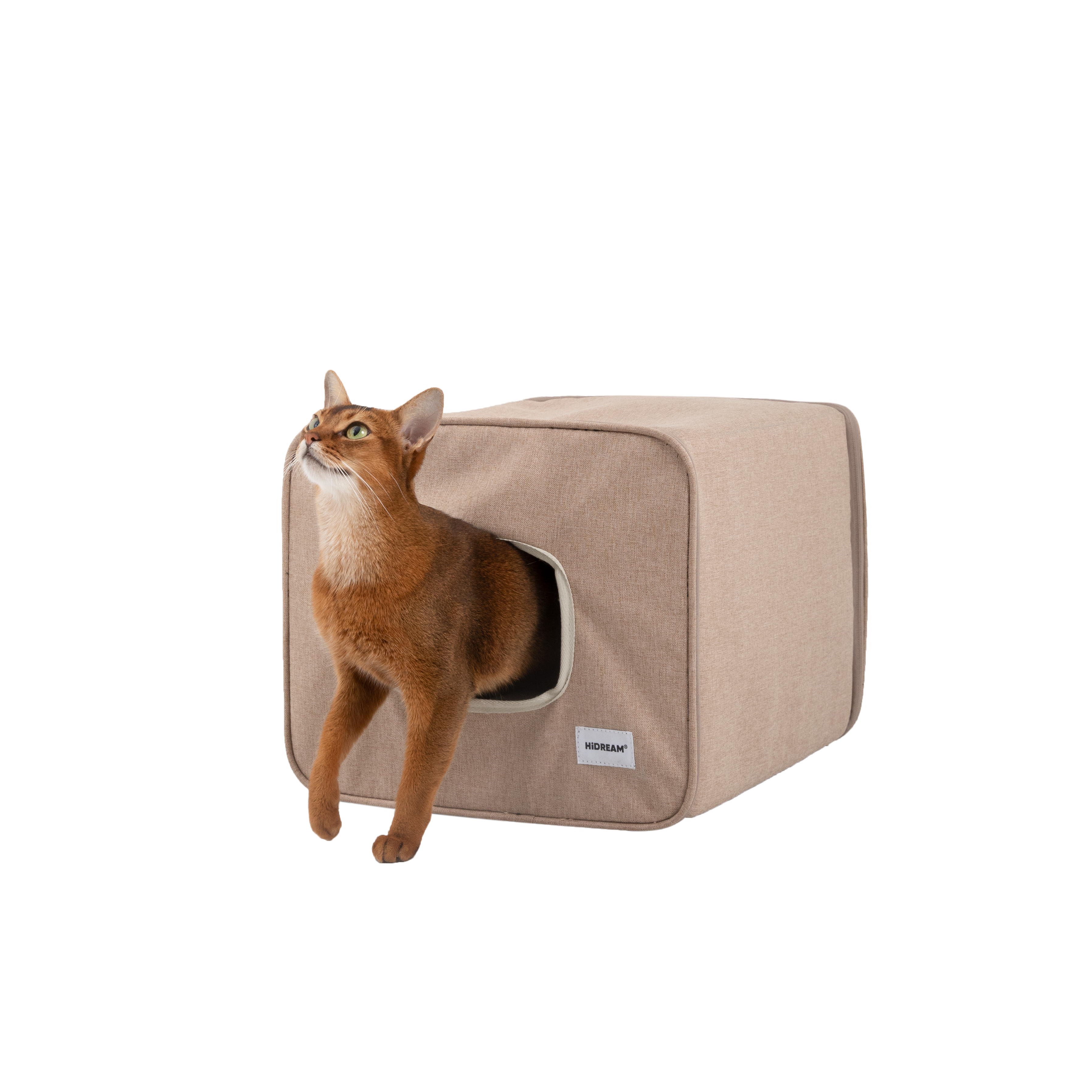 Foldable Cat Tunnel Bed