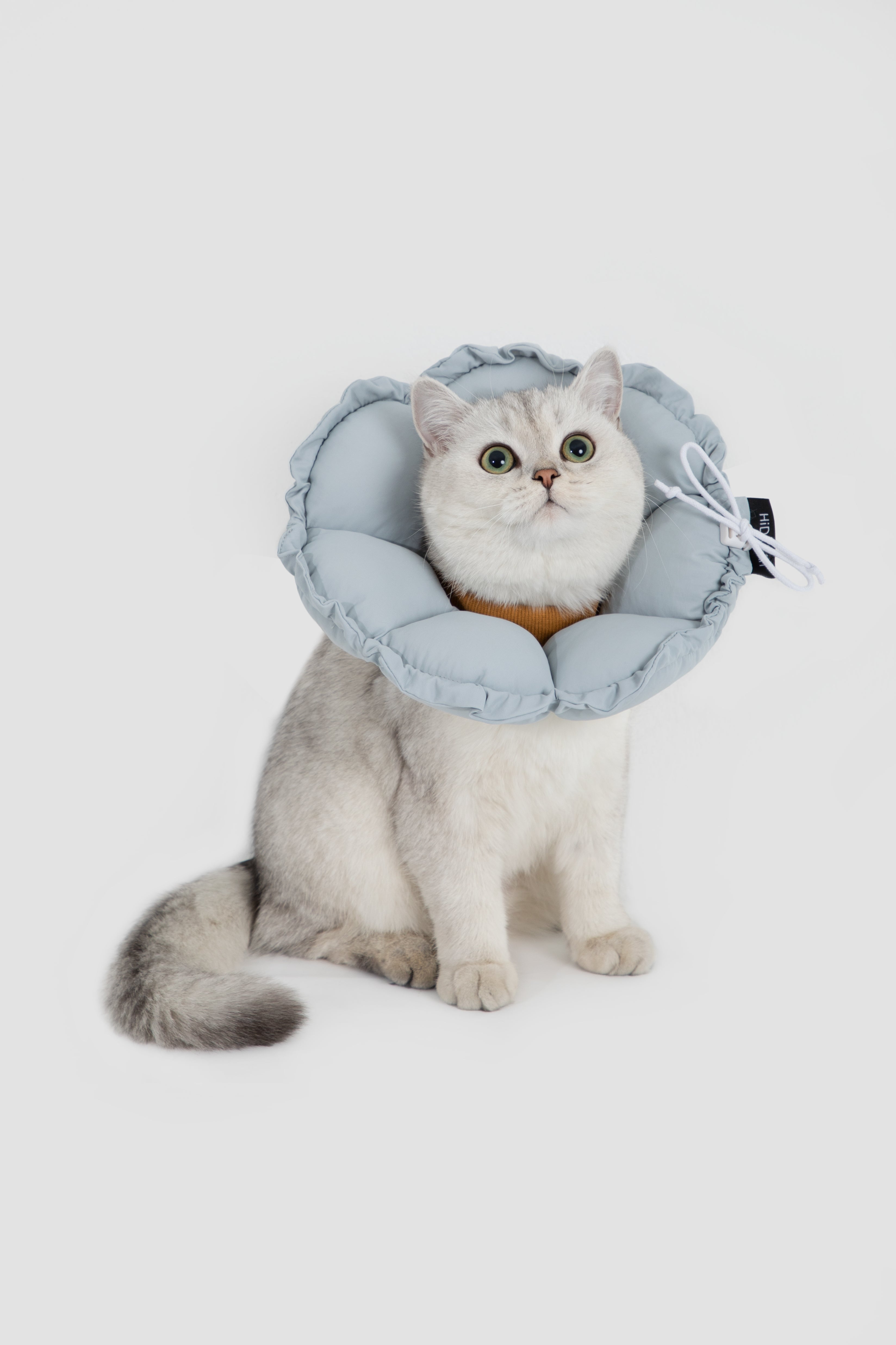 Floral Pet Recovery Collar Plus