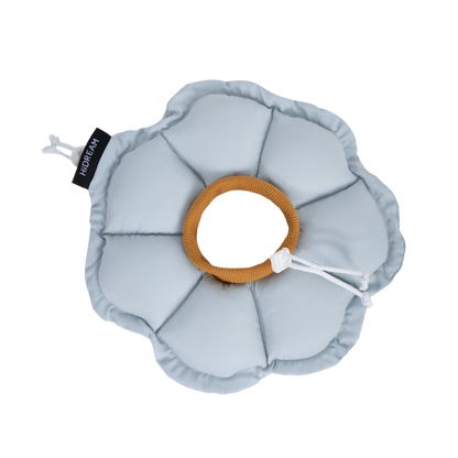 Floral Pet Recovery Collar Plus