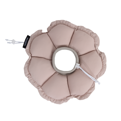 Floral Pet Recovery Collar Plus