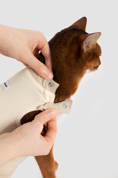Colorblock Cat Recovery Suit