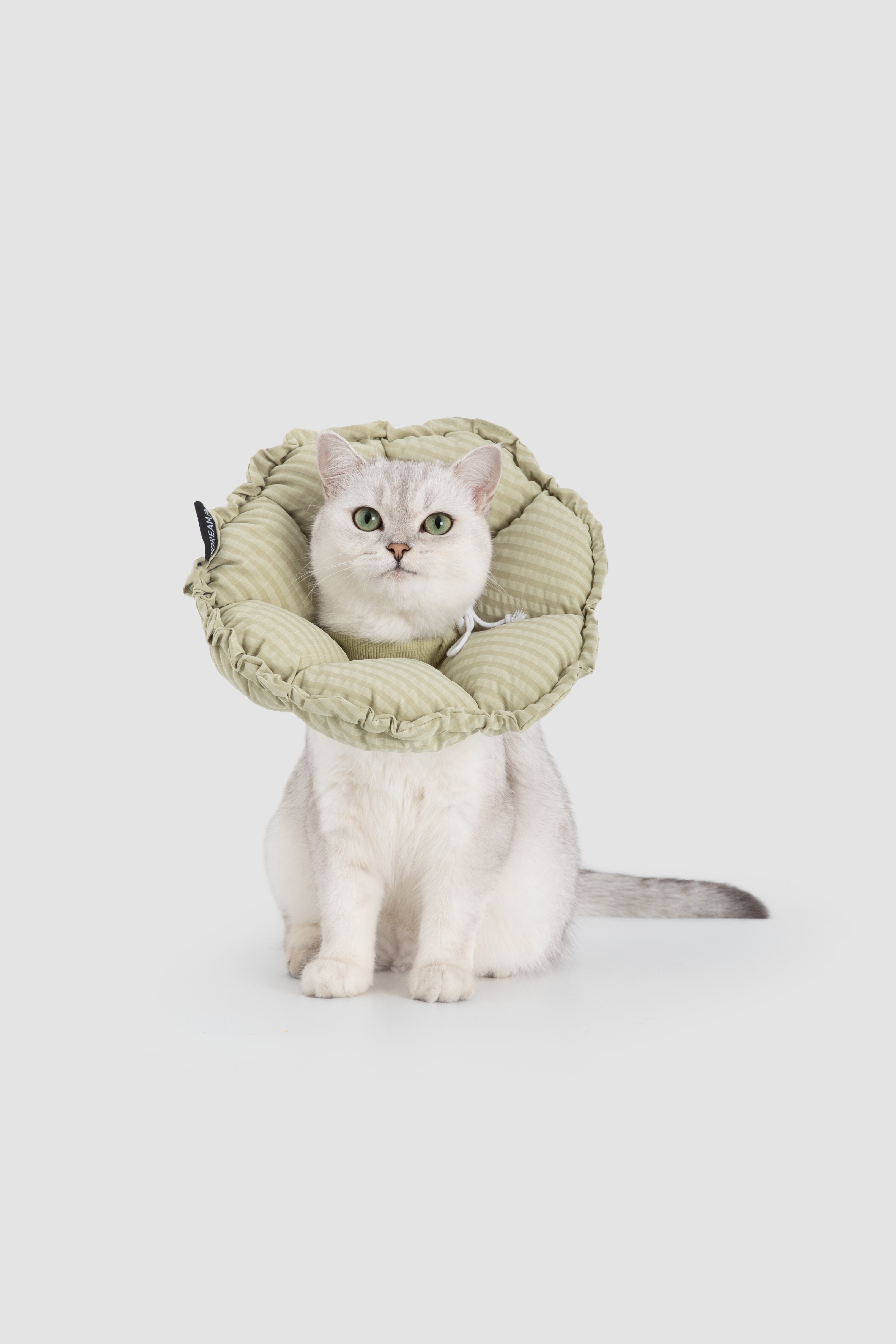 Plaid Floral Pet Recovery Collar Plus