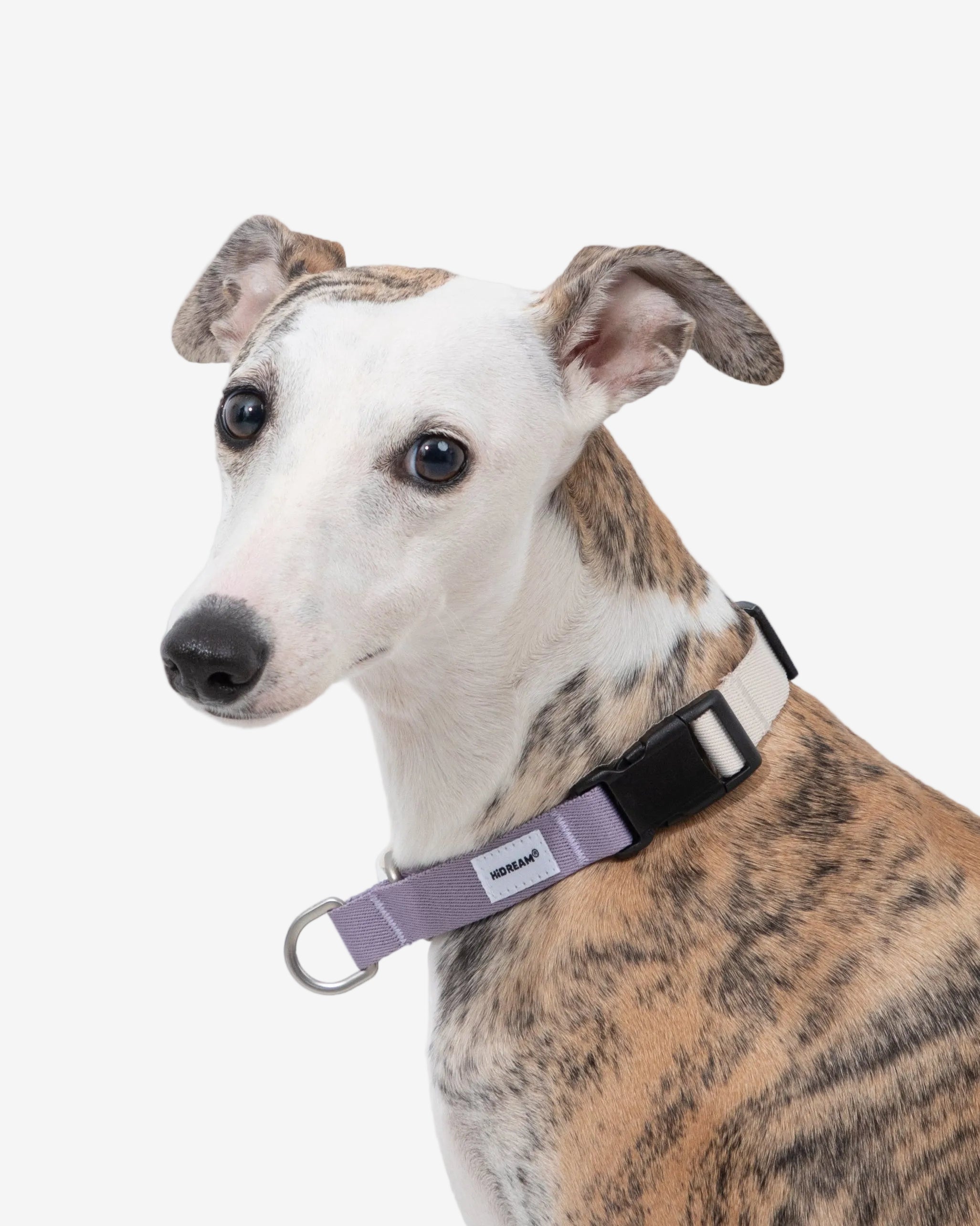 Anti-pull Half-Choke Dog Collar