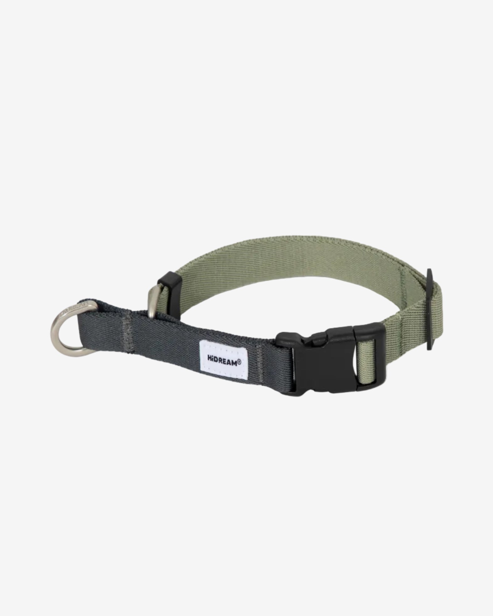 Green dog collar with black buckle on a white background