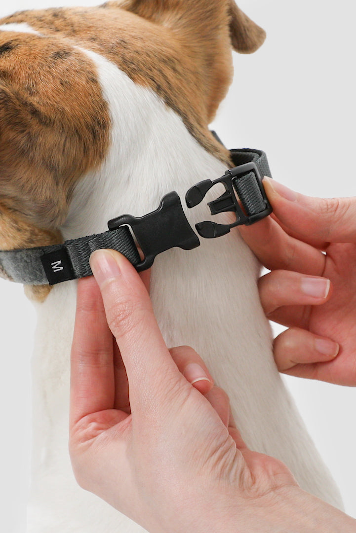 Multi-Function Training Dog Head Collar