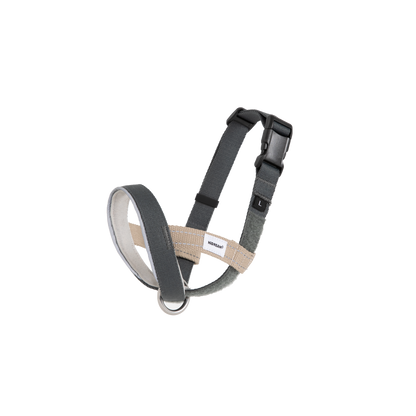 Multi-Function Training Dog Head Collar