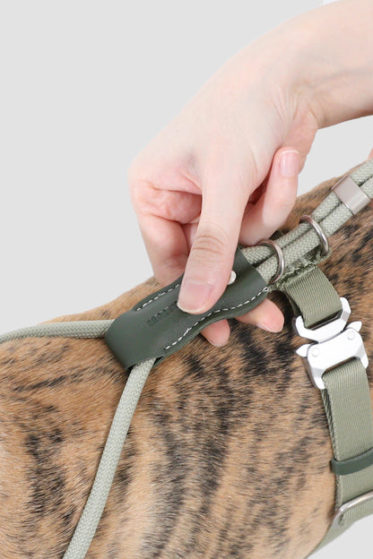 Leather Round Rope Dog Harness