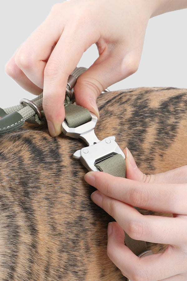 Leather Round Rope Dog Harness