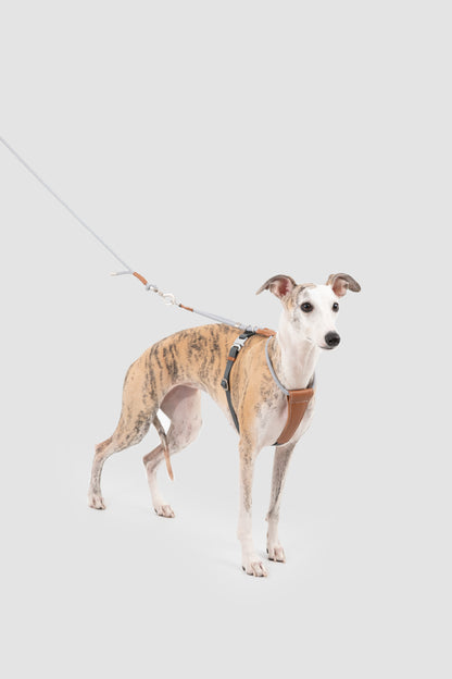 Leather Round Rope Dog Harness