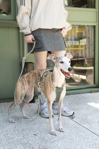 Leather Round Rope Dog Harness
