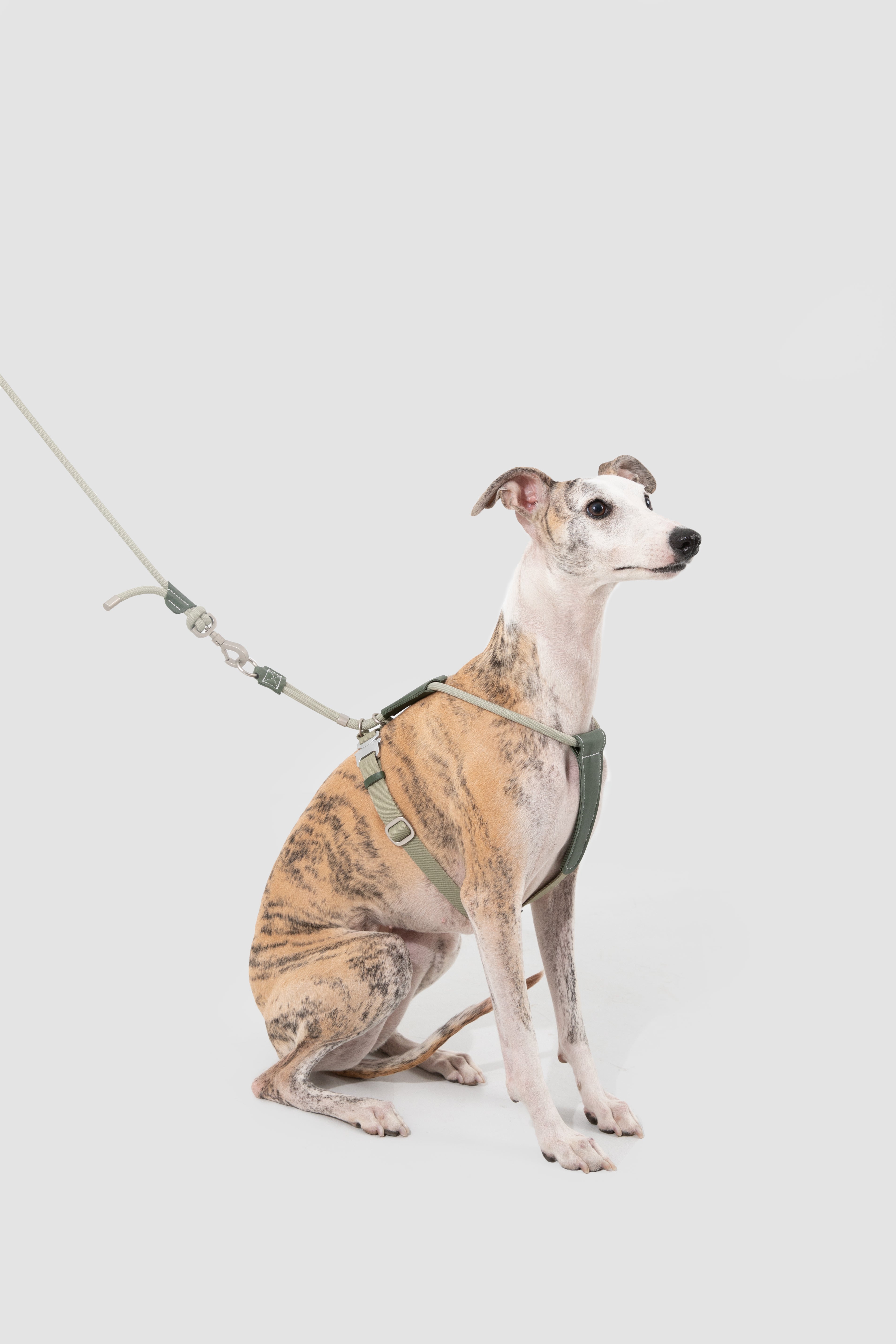 Leather Round Rope Dog Leash