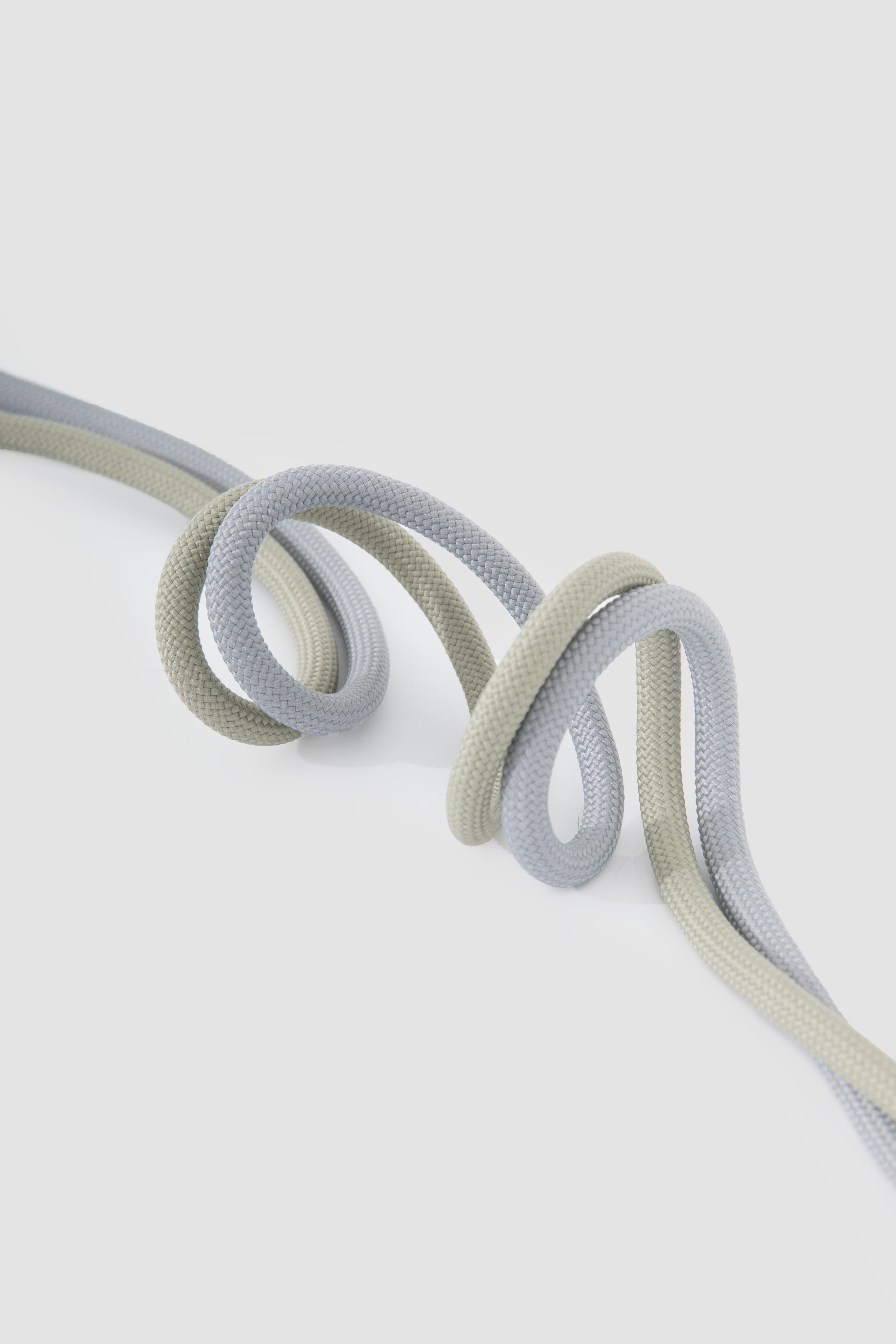 Leather Round Rope Dog Leash